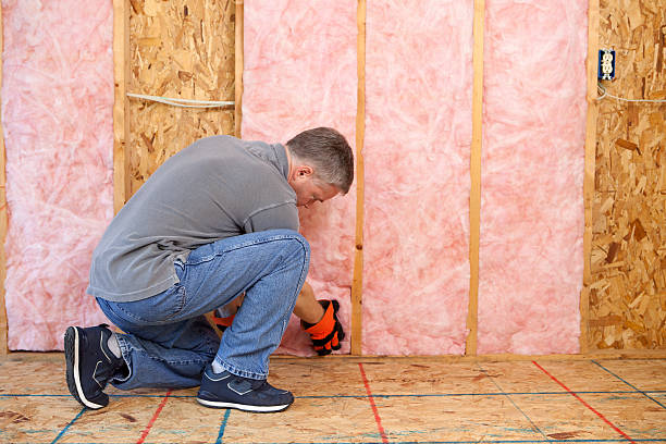 Best Batt and Roll Insulation  in Warren, MN